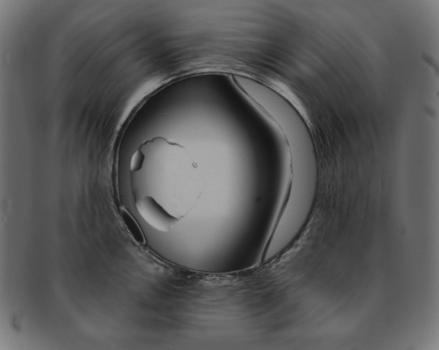 X0000091701146200709210917