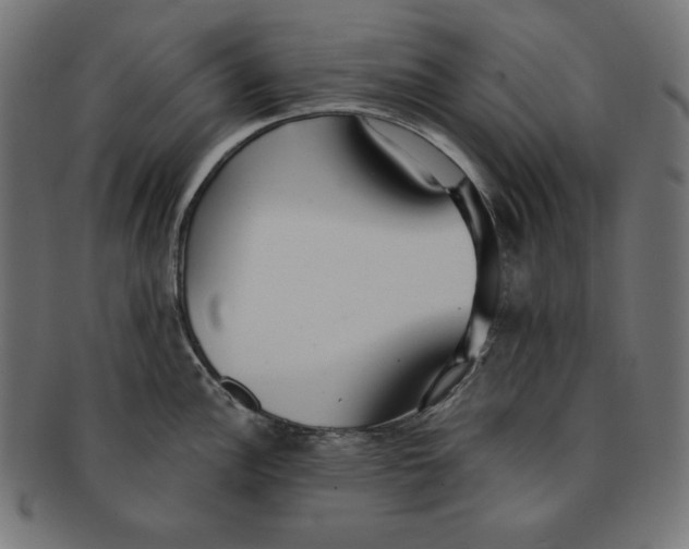 X0000091701148200709210917