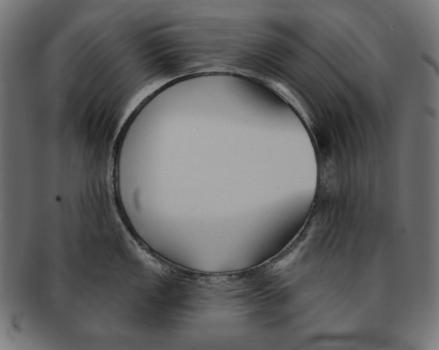 X0000091701149200709210917