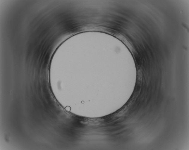 X0000091701150200709210917