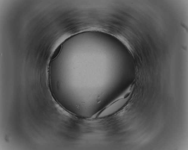 X0000091701151200709210917