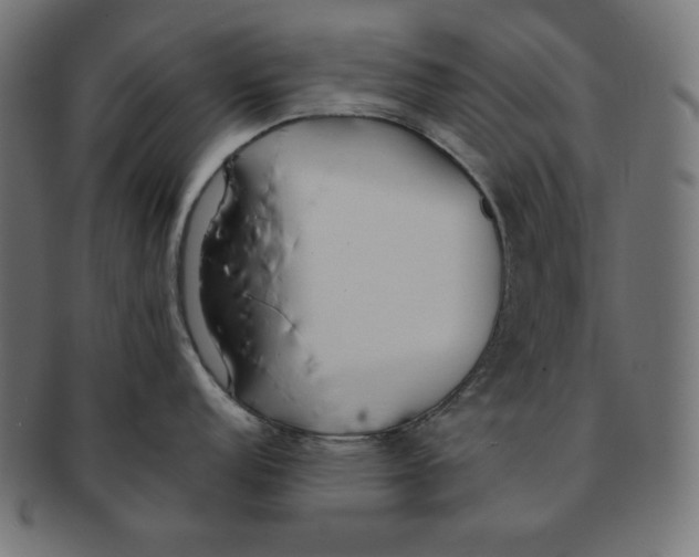 X0000091701152200709210917