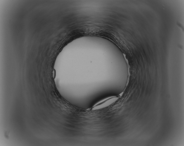 X0000091701153200709210916