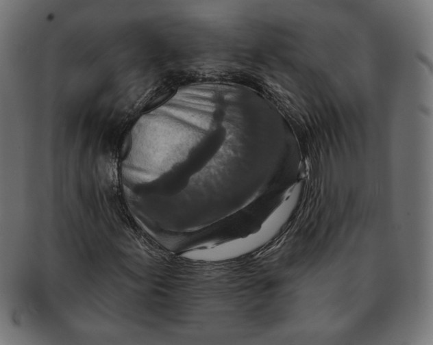 X0000091701155200709210916