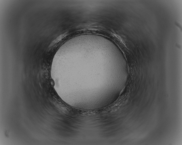 X0000091701159200709210916