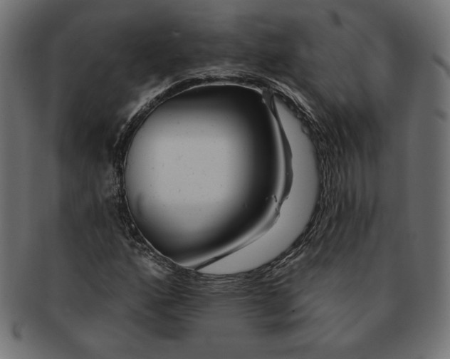 X0000091701160200709210916