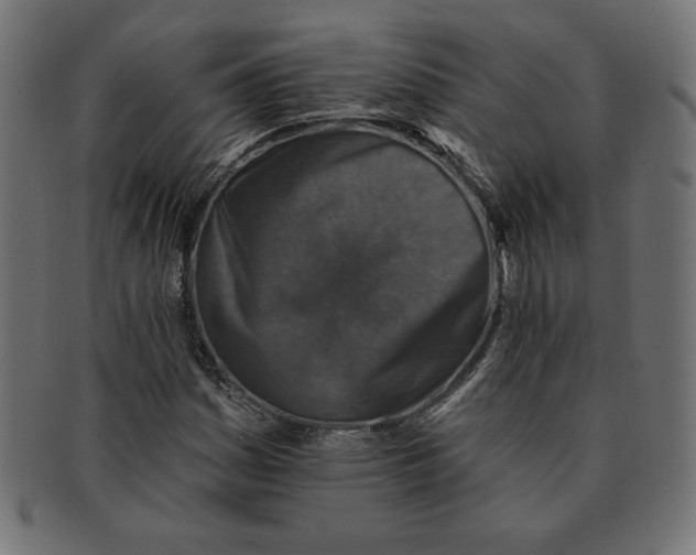 X0000091701161200709210916