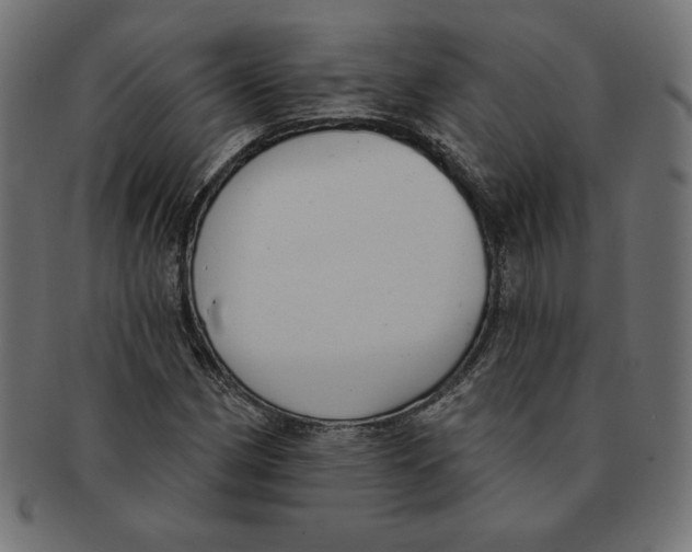 X0000091701162200709210916