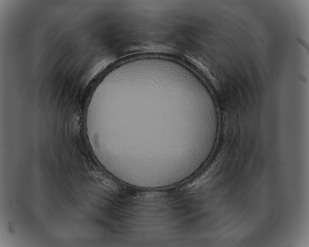 X0000091701163200709210916