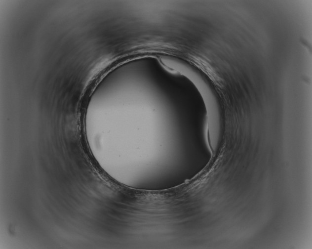 X0000091701164200709210916