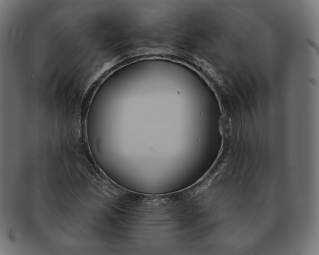 X0000091701165200709210916