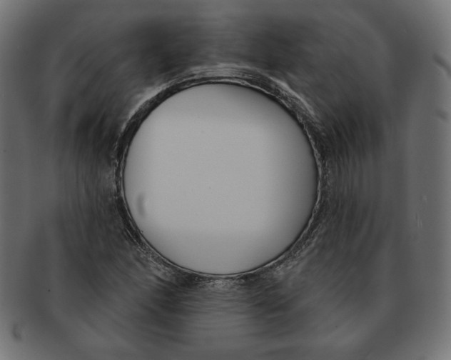 X0000091701166200709210916