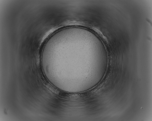 X0000091701167200709210916