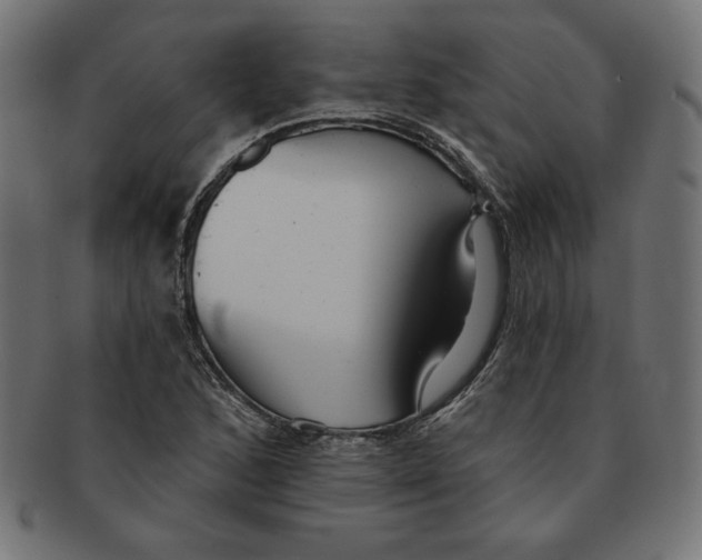 X0000091701168200709210916