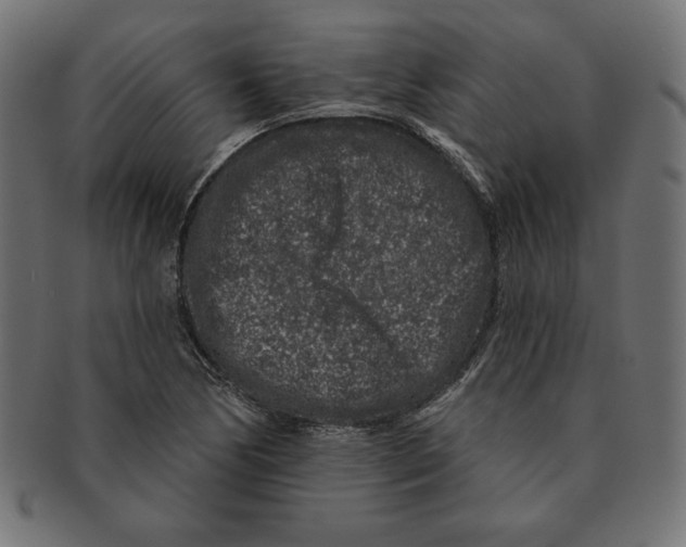 X0000091701170200709210916