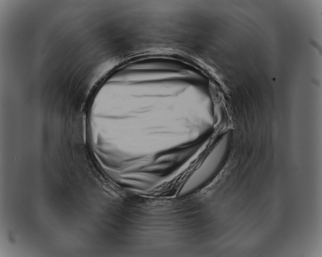 X0000091701171200709210916