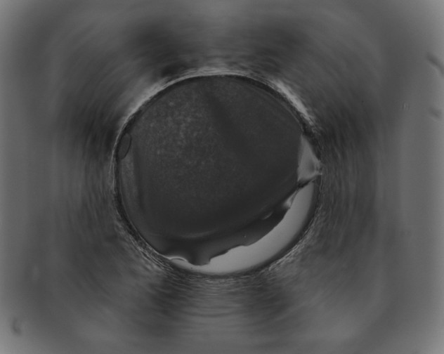 X0000091701173200709210916