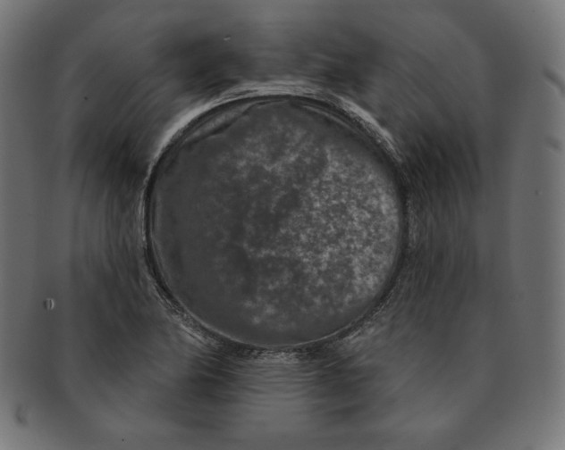 X0000091701174200709210916