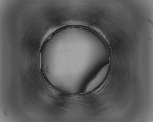 X0000091701175200709210916