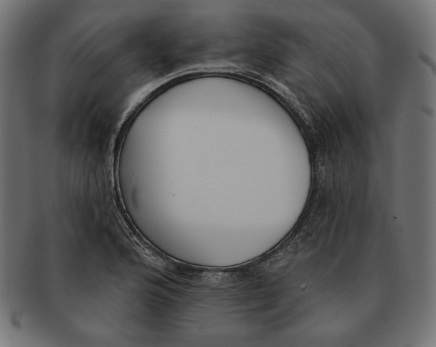 X0000091701176200709210916