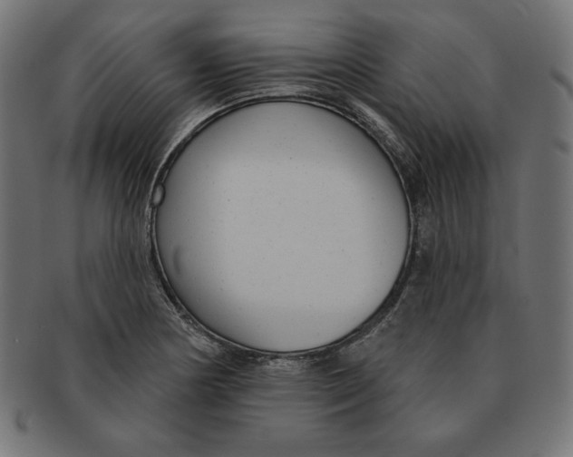 X0000091701178200709210916