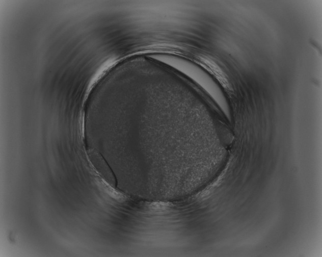 X0000091701180200709210916