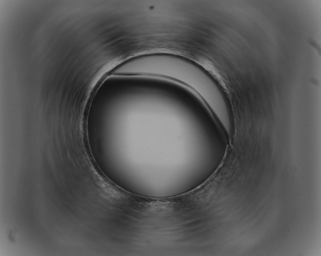 X0000091701181200709210916