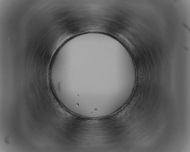 X0000091701182200709210916