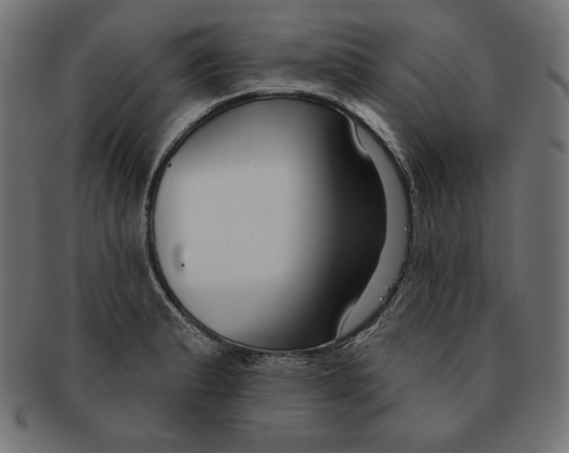 X0000091701183200709210916