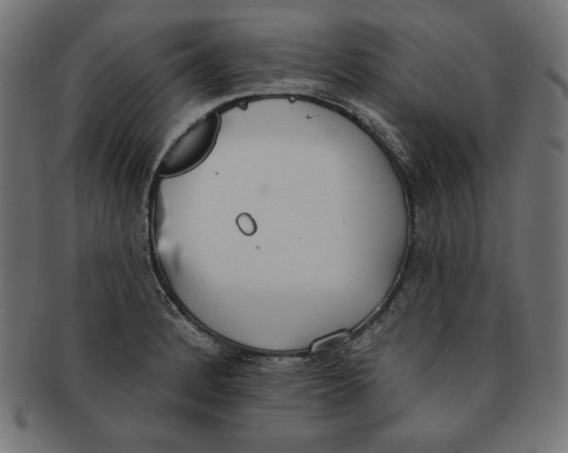 X0000091701184200709210916