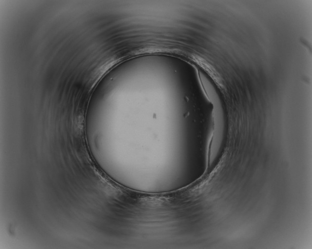 X0000091701185200709210916