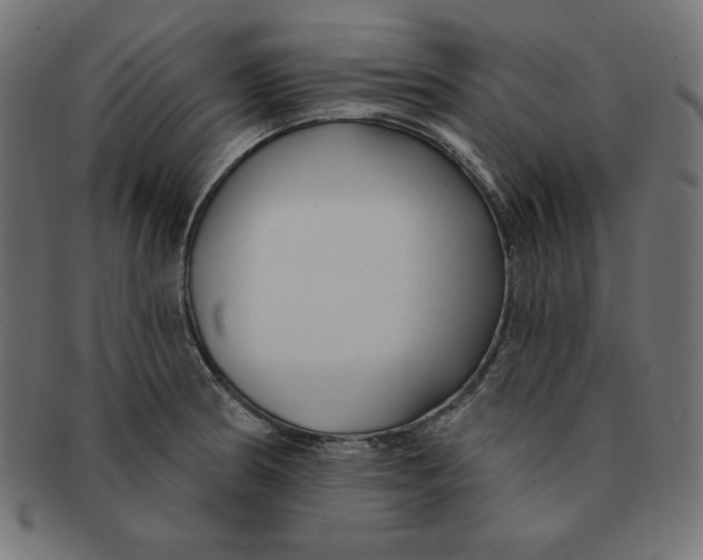 X0000091701186200709210916