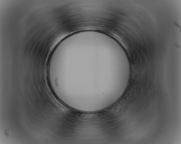 X0000091701187200709210916