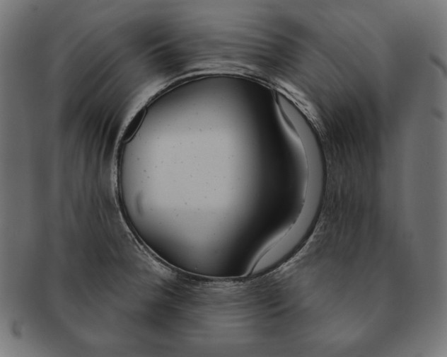 X0000091701188200709210916