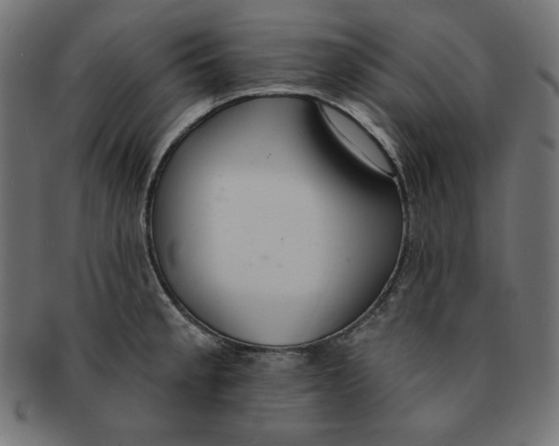 X0000091701189200709210916