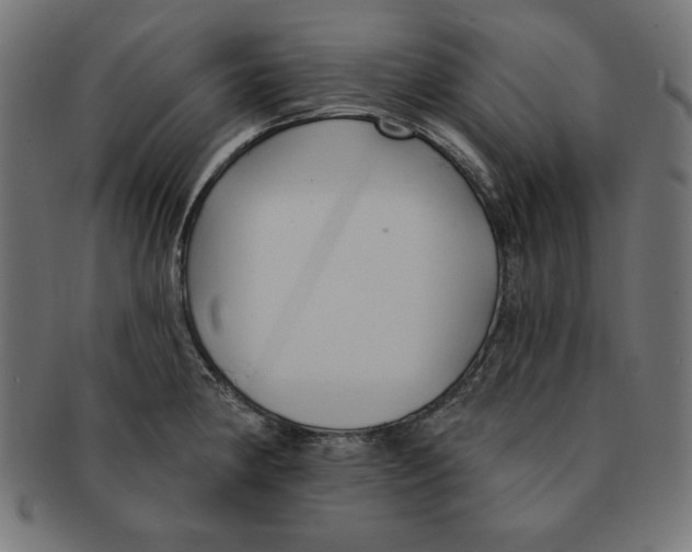 X0000091701190200709210916