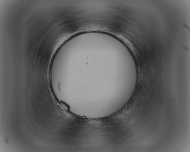 X0000091701191200709210916