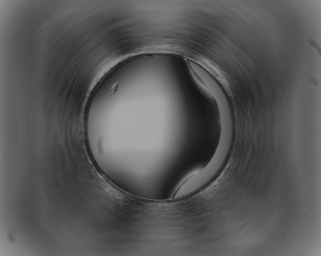 X0000091701192200709210916