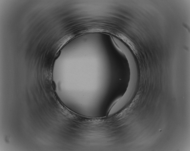 X0000091701193200709210916