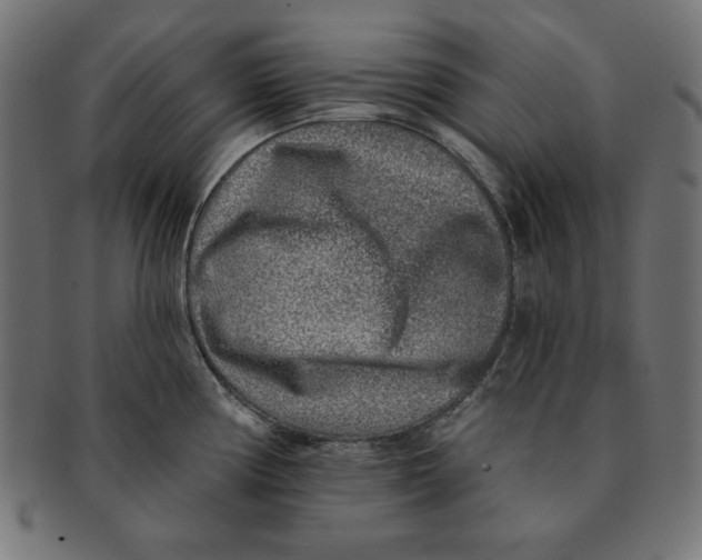 X0000091701194200709210916