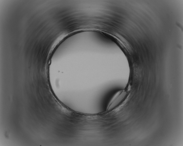 X0000091701196200709210916