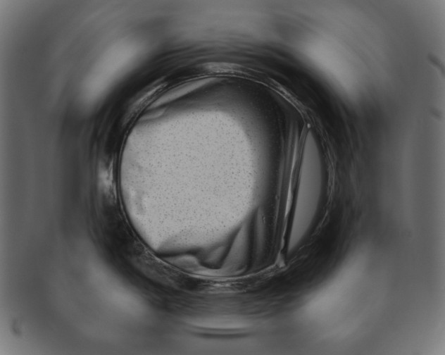 X0000091701198200709210916