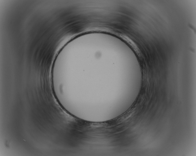 X0000091701199200709210916