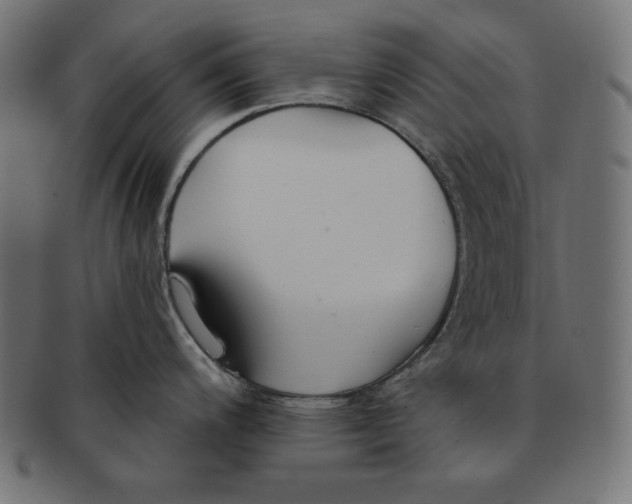 X0000091701200200709210916