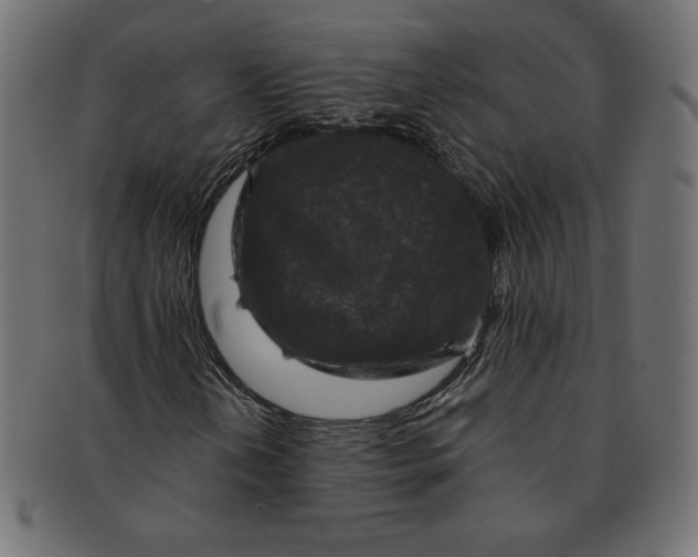 X0000091701202200709210915