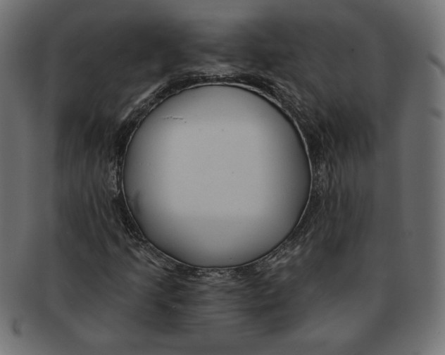 X0000091701205200709210915