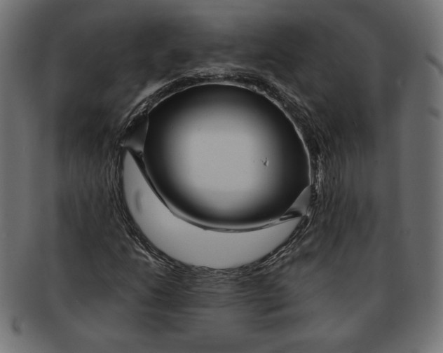 X0000091701206200709210915