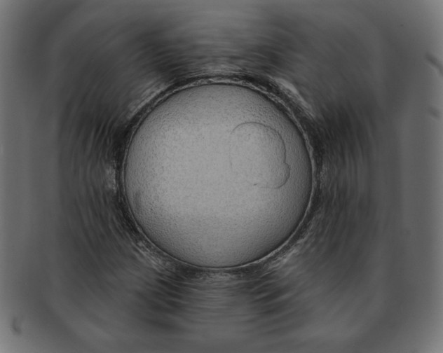 X0000091701209200709210915