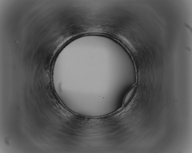 X0000091701212200709210915