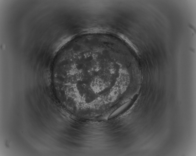 X0000091701213200709210915